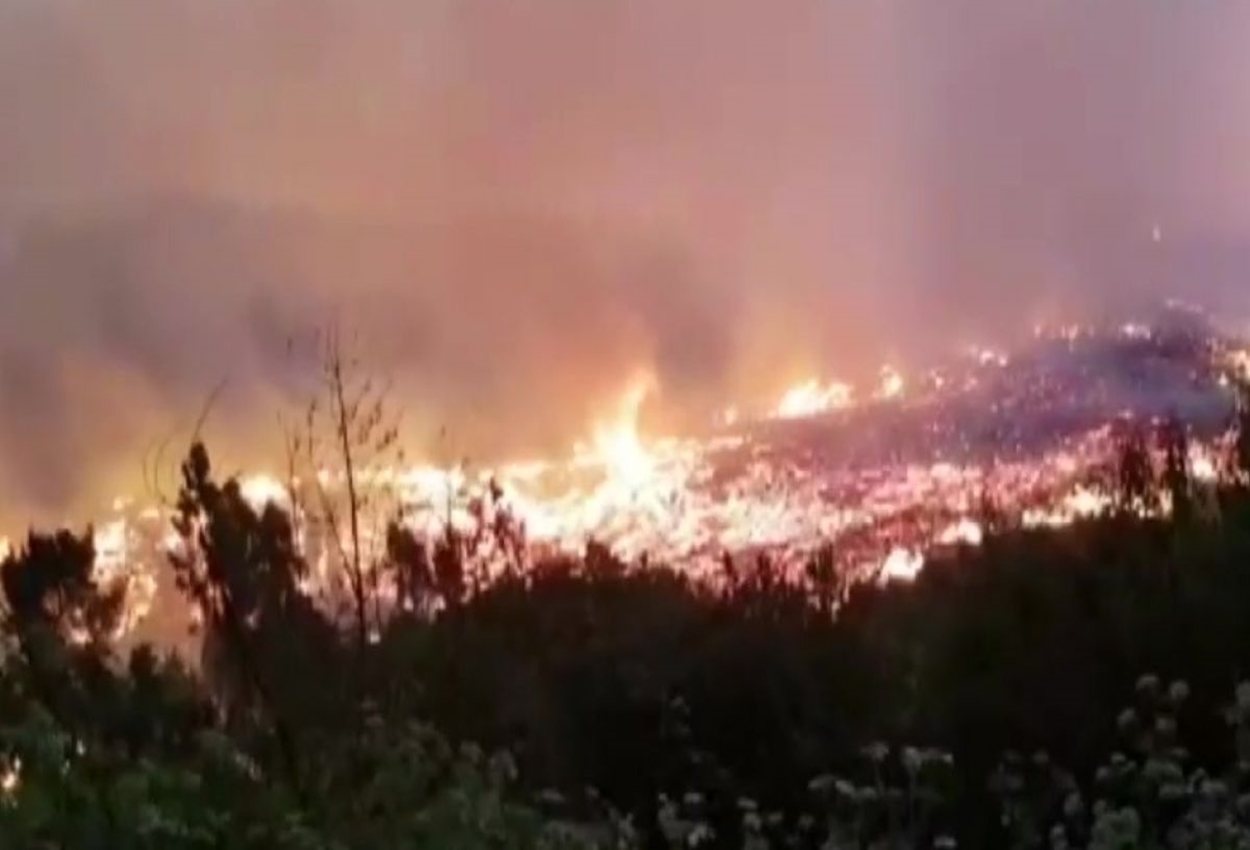 Corma Cerca Del De Los Incendios Forestales Producidos En La