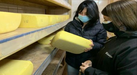 Productora de queso recibe apoyo de Indap para construir sala de proceso